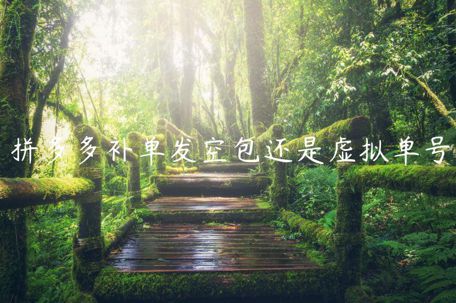 拼多多補(bǔ)單發(fā)空包還是虛擬單號(hào)